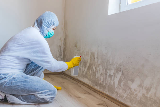 Hvac And Air Duct Mold Remediation inspection of HVAC system in Chantilly