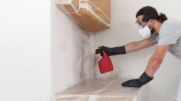 Attic Mold Remediation treatment on roof deck in Chantilly